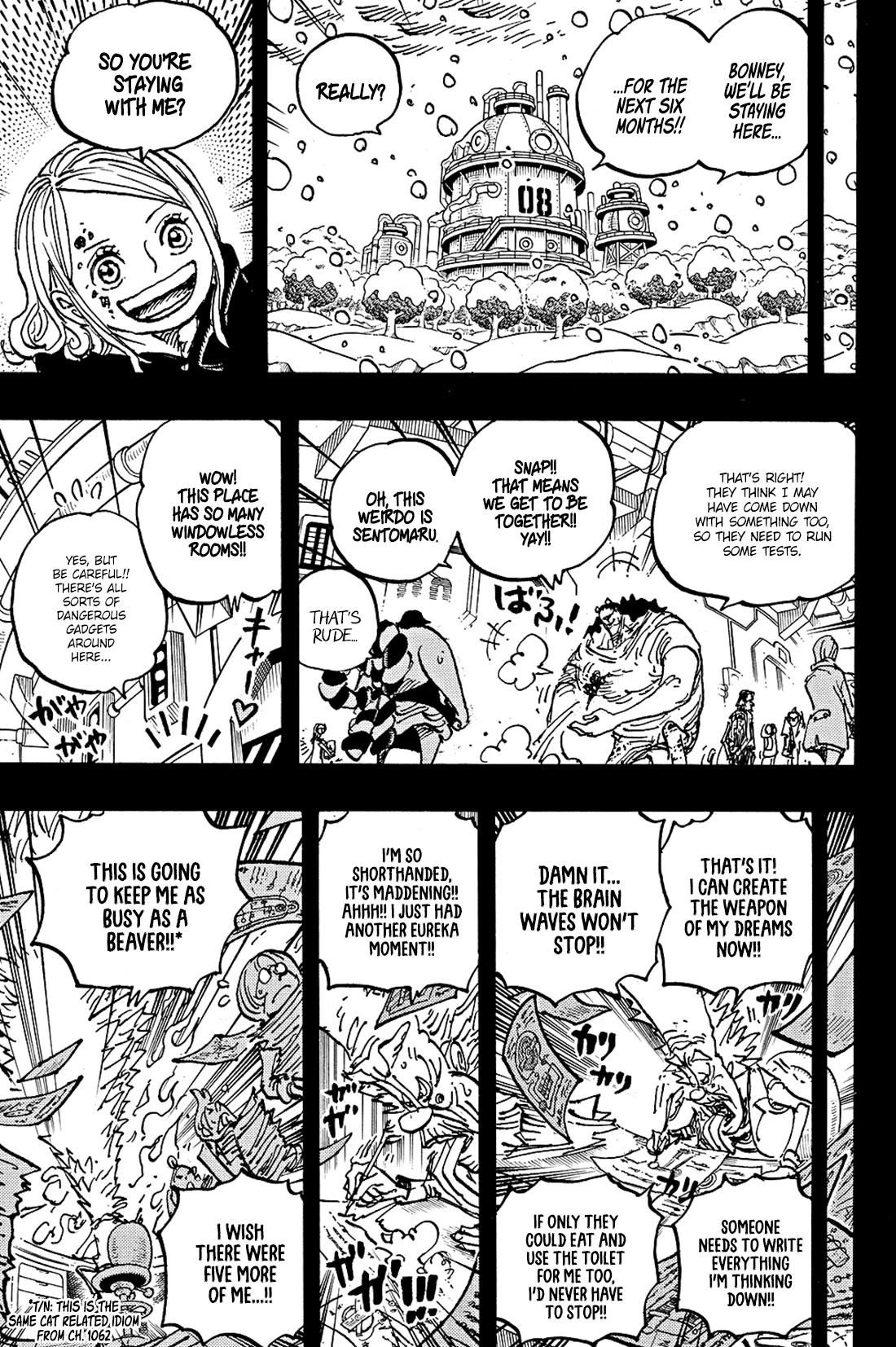 One Piece Chapter 1100 10